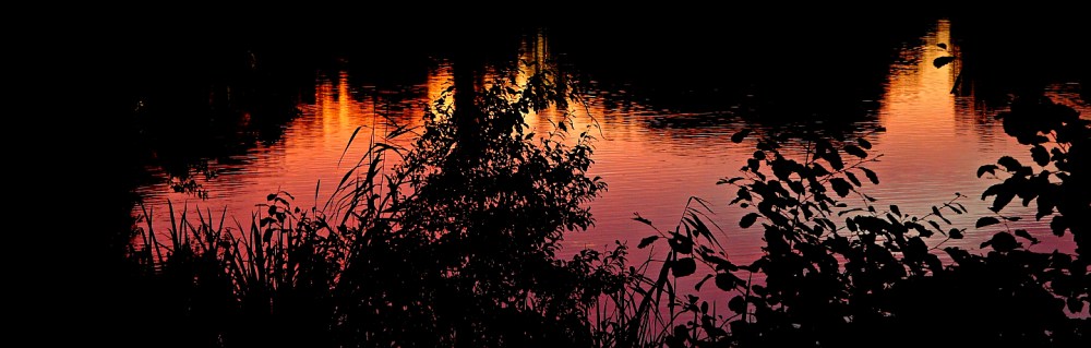 Scriptorium_Header 47a