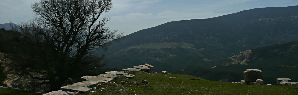 Scriptorium_Header 67a