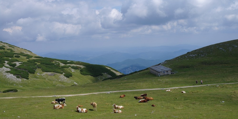 scriptorium_header_018_Schneeberg