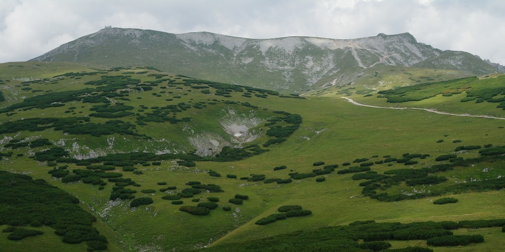 scriptorium_header_Schneeberg