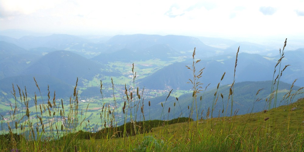 scriptorium_header_059_Schneeberg_03_edit