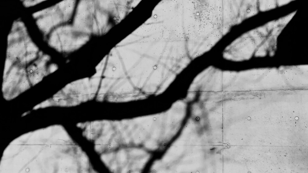 Sonnet_one_Roots Stable