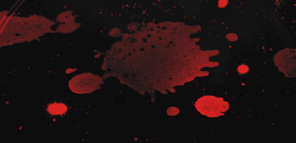 only-tear-drops_blinking_heartbeat_animation_4