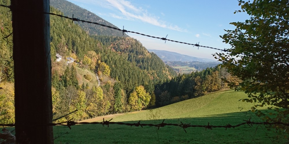 Stacheldraht-Wittgensteinweg-Trattenbach-Weide_panorama