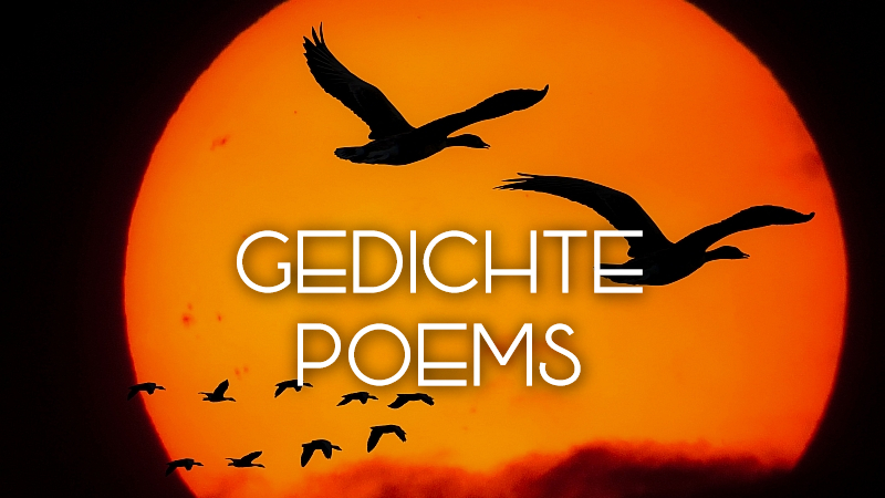 GEDICHTE / POEMS