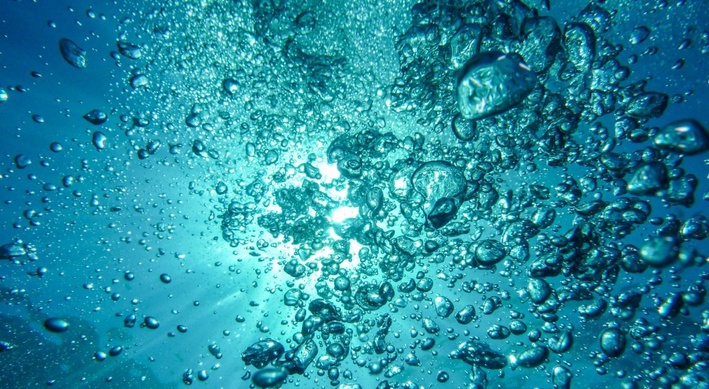 devonian_extinction_age-of-fishes_bubbles_panorama