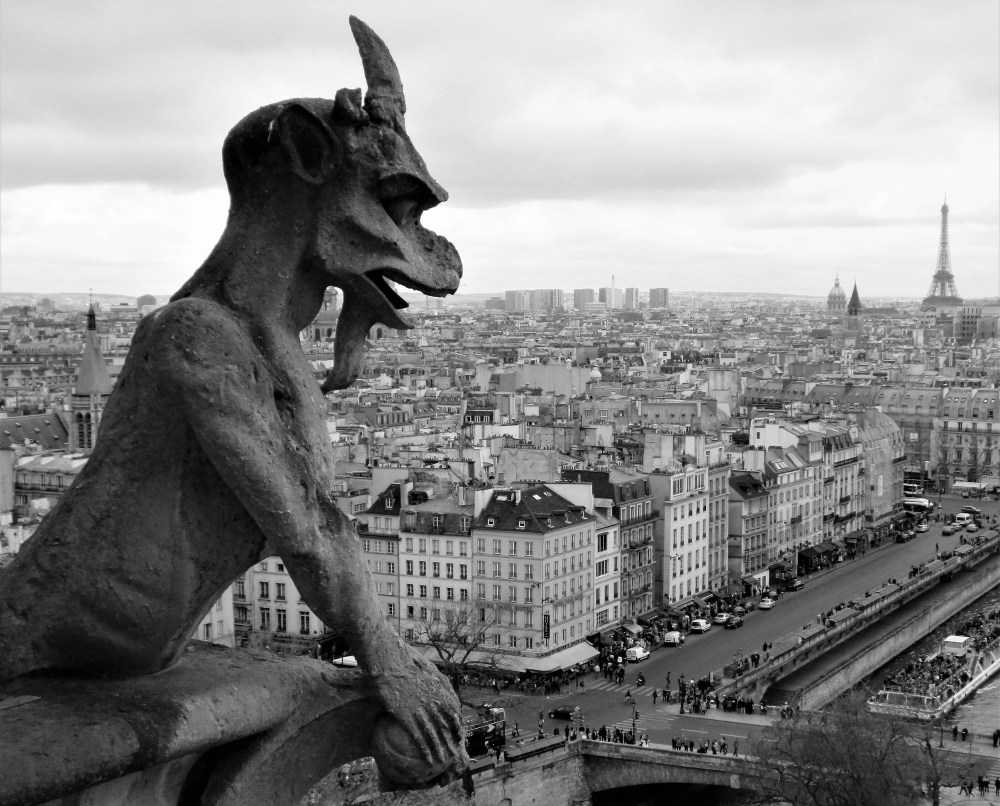 gargoyle_Paris_Notre-Dame_view_panorama