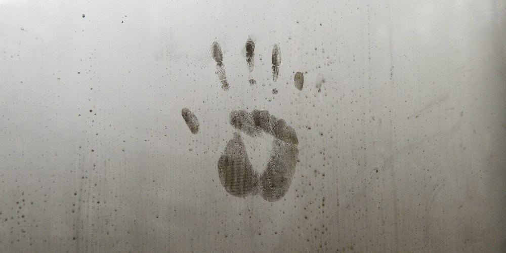 handprint_label_identity_panorama