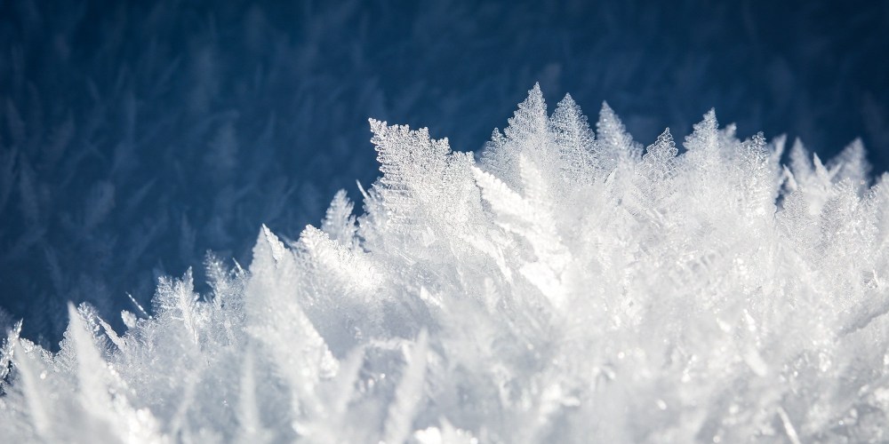 ice-crystal-frost-flower-growth_panorama