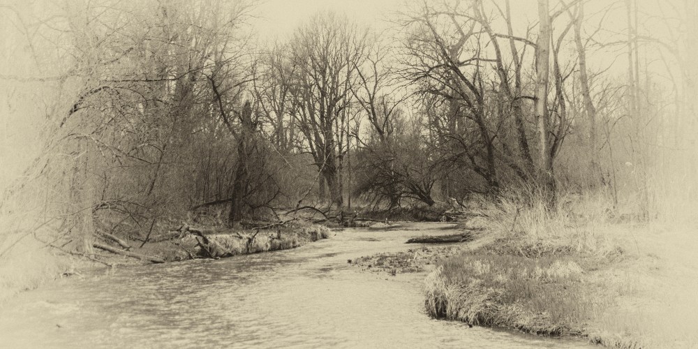 monochrome_fantasy_nature_river_trees_dream_panorama