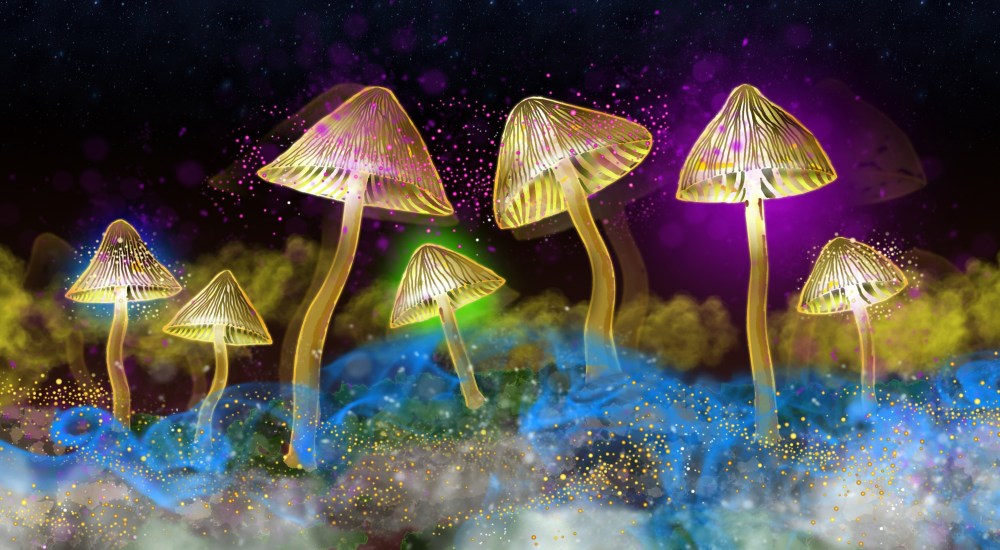 mushrooms_glowing_night_spooky_nightmare_panorama