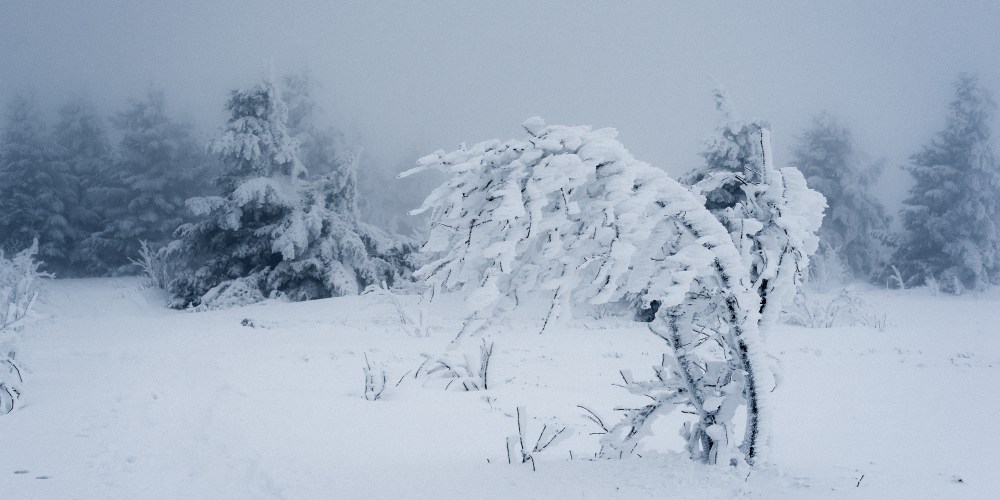 snow_schneesturm_einsam_allein_Natur_Gewalt_panorama