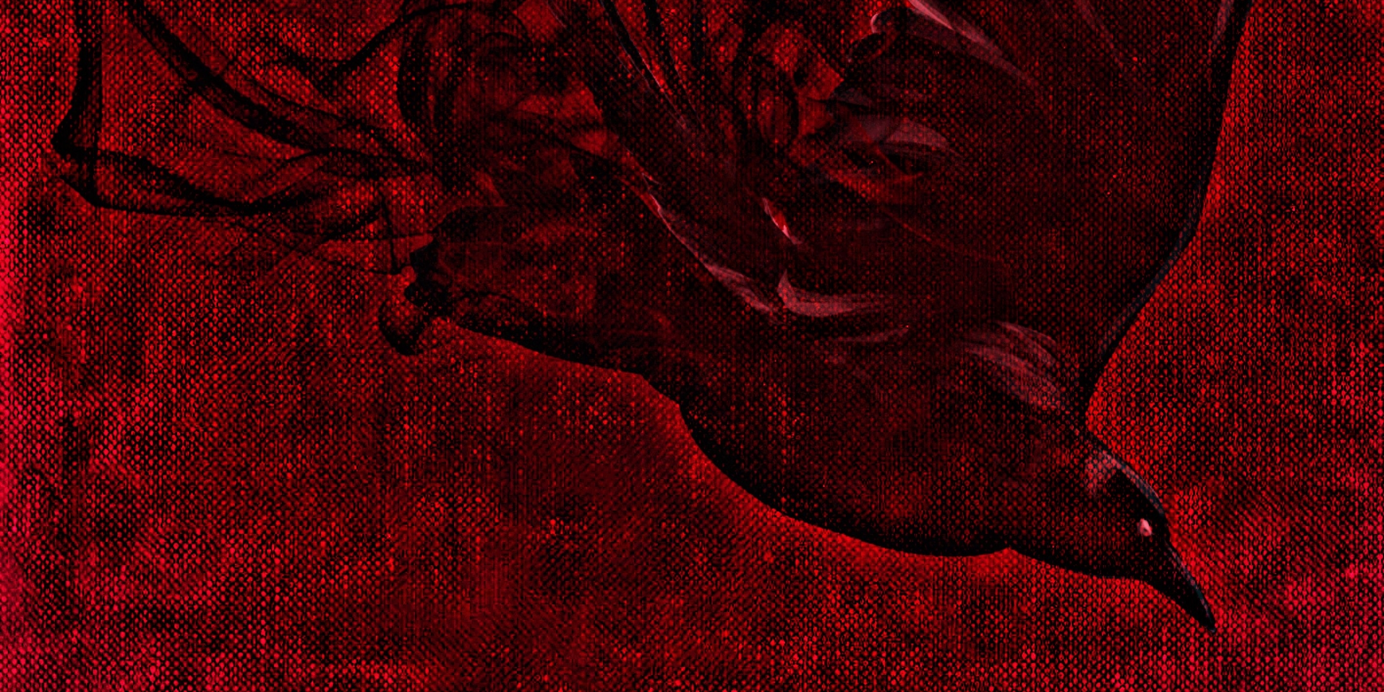 crow_raven_black_red_darkness_down_panorama