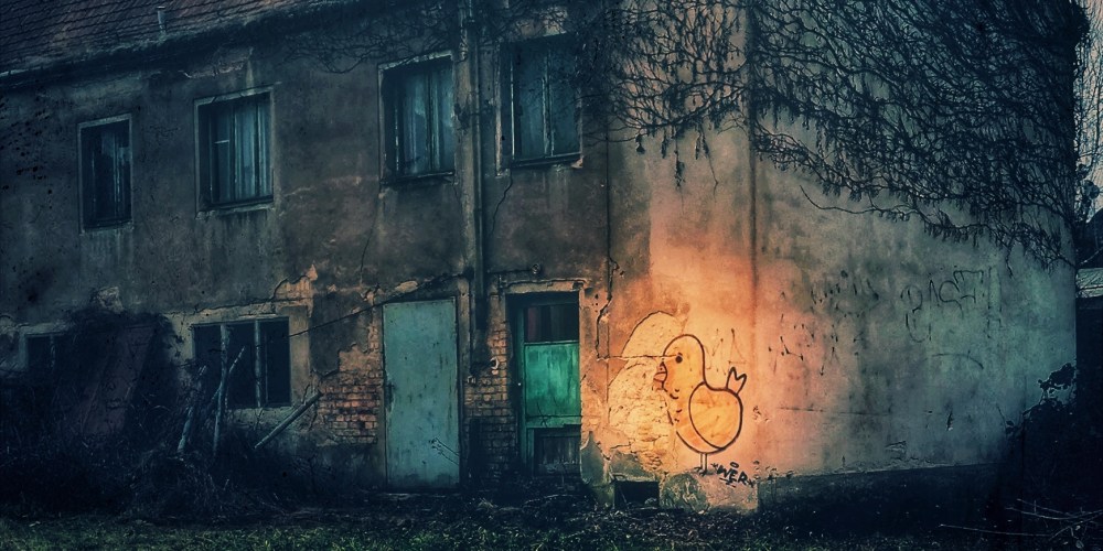 Der-Houellebecq-der-Huehnchen_Bauernhof_Kueken_Huhn_panorama