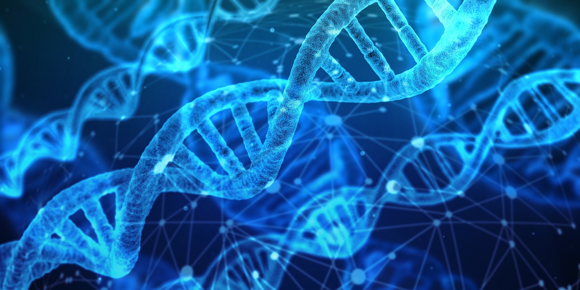 dna_atcg_biology_chemistry_love_philosophy_panorama