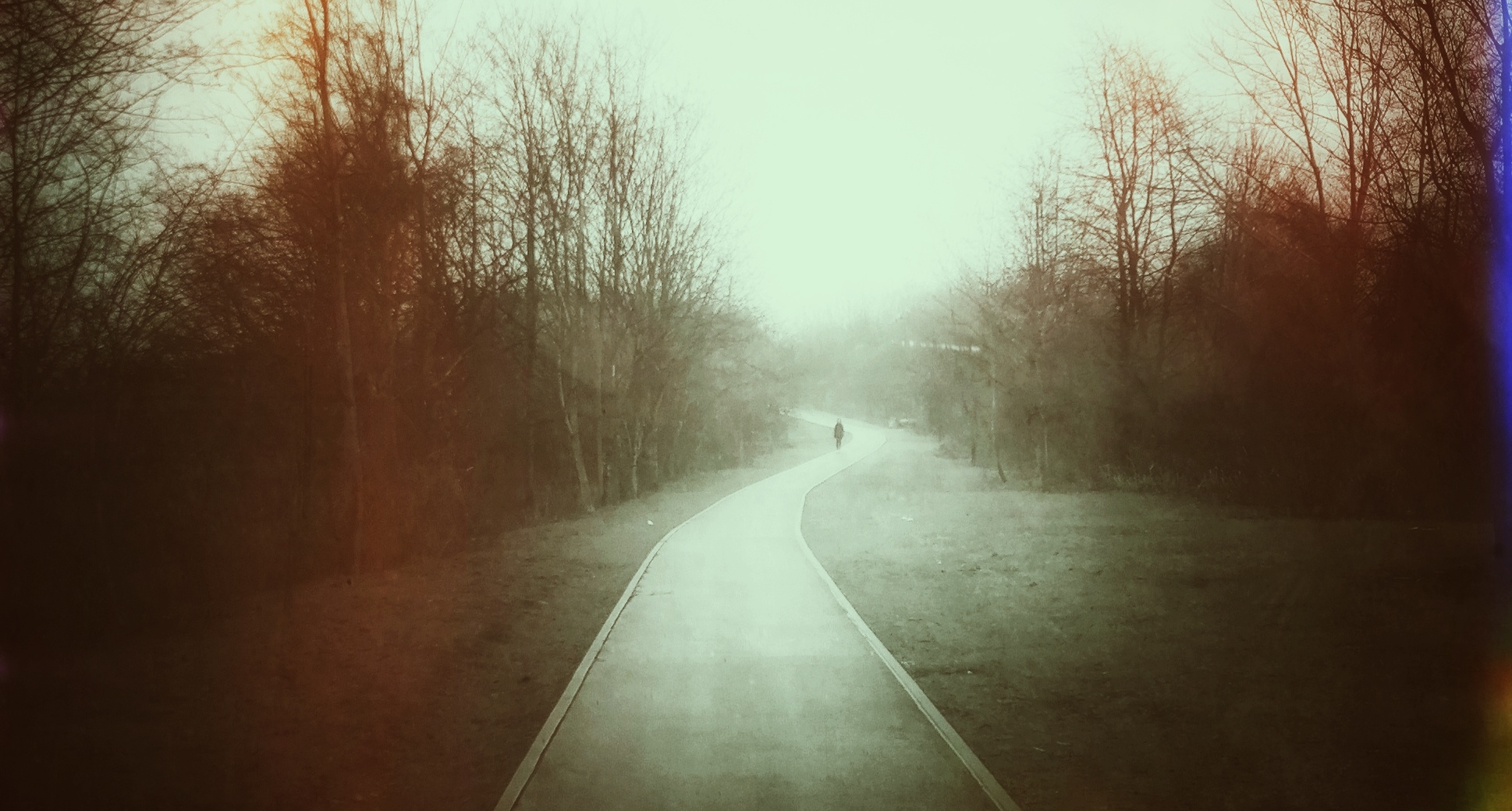 noir-vision-night-nature-pathway_01_panorama