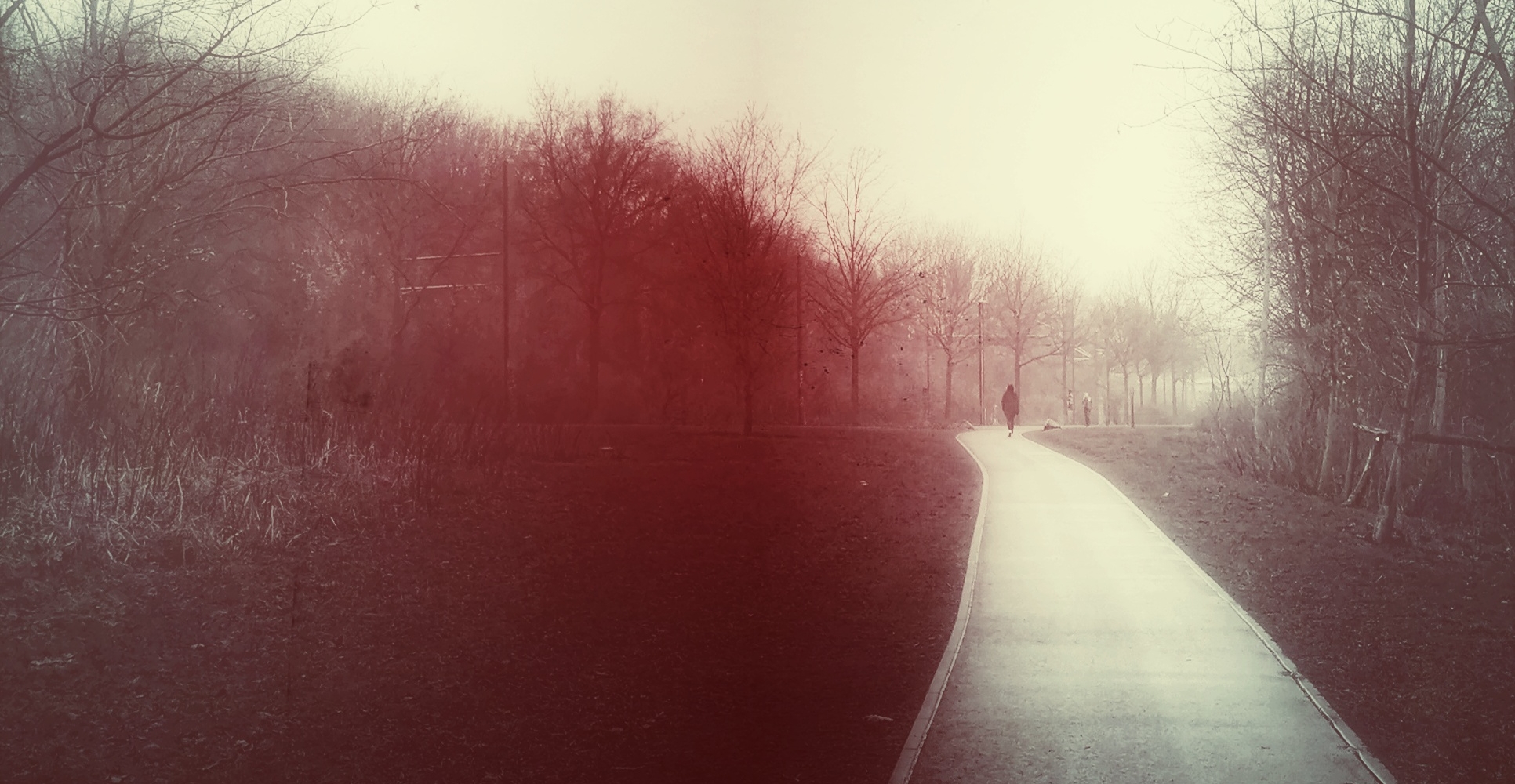 noir-vision-night-nature-pathway_02_panorama