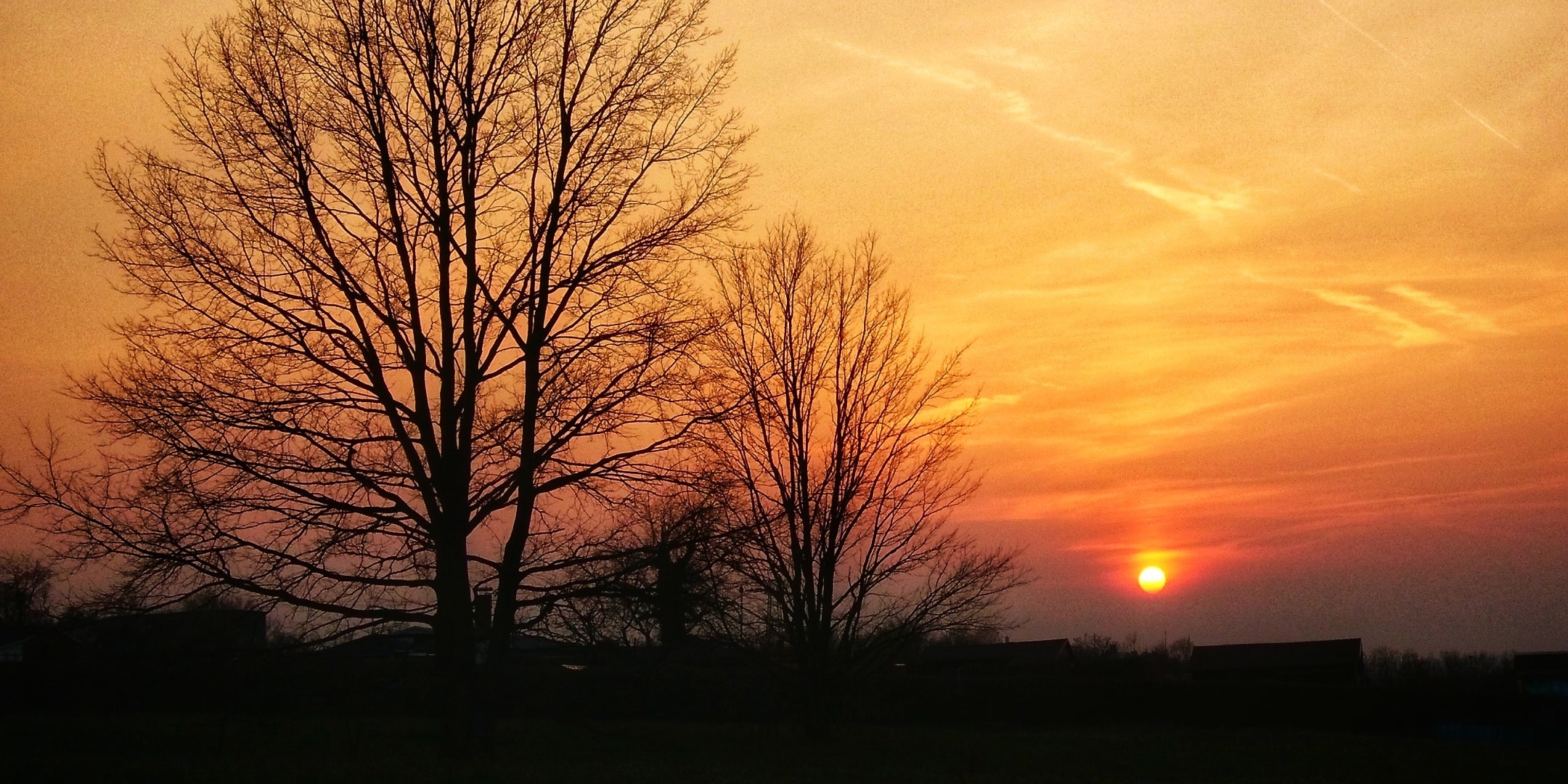 sunset_tree_sun_beautiful_calm_panorama