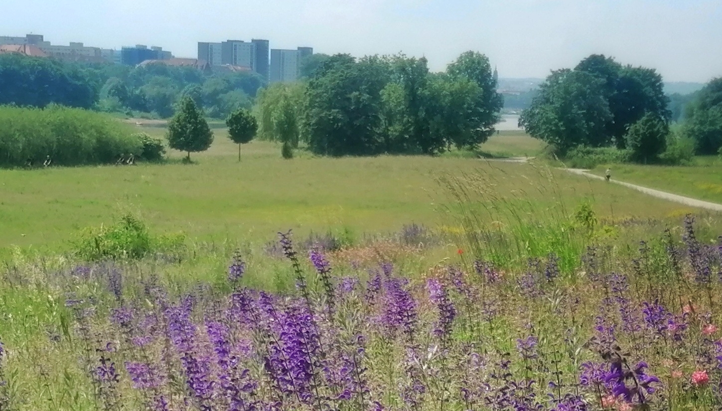 Un-heimlich-empfundenes-Idyll_Bruecke_Elbtal_UNESCO_edit_panorama