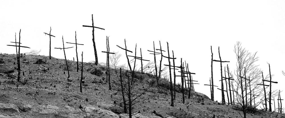 forest-fire_waldbrand_nebel-im-kopf_panorama