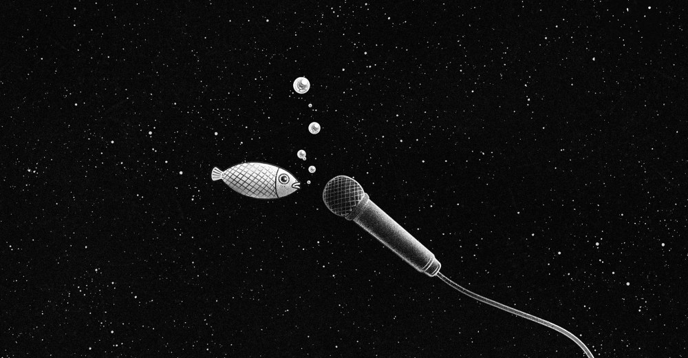 einheitsbrei_fish_universe_panorama