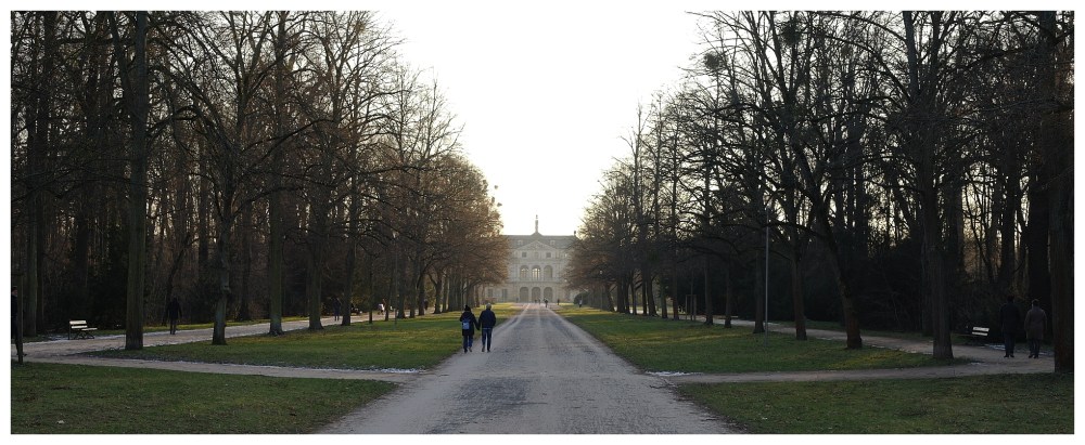 Blick vom nördlichen Rand des Großen Gartens in Dresden auf das Palais in dessen Zentrum.