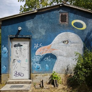 Ein blaues Haus mit beschmierter weißer Tür links und großem gemaltem Möwenkopf mit Heiligenschein rechts.