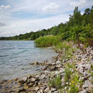 An einen Badesee mit wunderbar klarem Wasser schmiegen sich Ufersteine und Ufergrün.